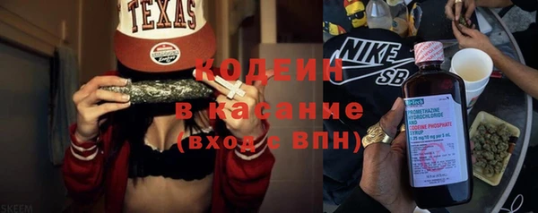 шишки Вяземский