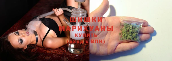 шишки Вяземский
