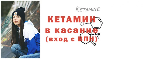 шишки Вяземский