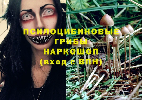 шишки Вяземский