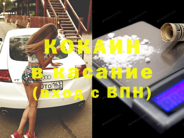 шишки Вяземский