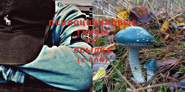 шишки Вяземский
