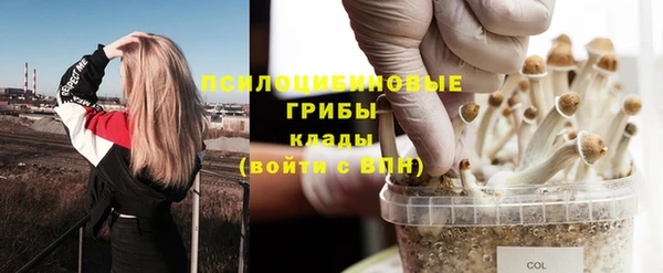 шишки Вяземский