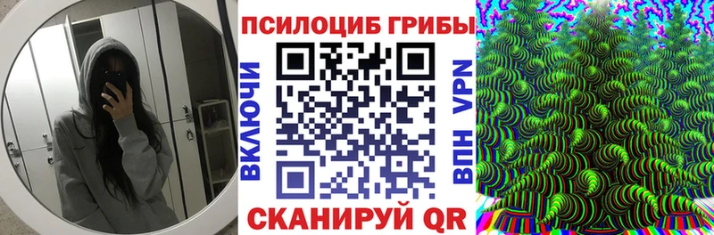 Псилоцибиновые грибы GOLDEN TEACHER  где купить наркоту  Керчь 